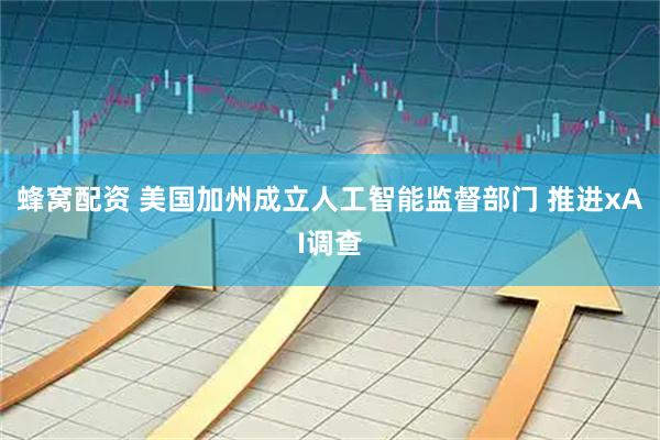 蜂窝配资 美国加州成立人工智能监督部门 推进xAI调查